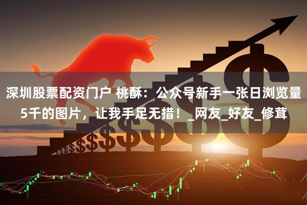 深圳股票配资门户 桃酥：公众号新手一张日浏览量5千的图片，让我手足无措！_网友_好友_修茸