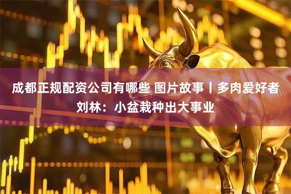 成都正规配资公司有哪些 图片故事丨多肉爱好者刘林：小盆栽种出大事业