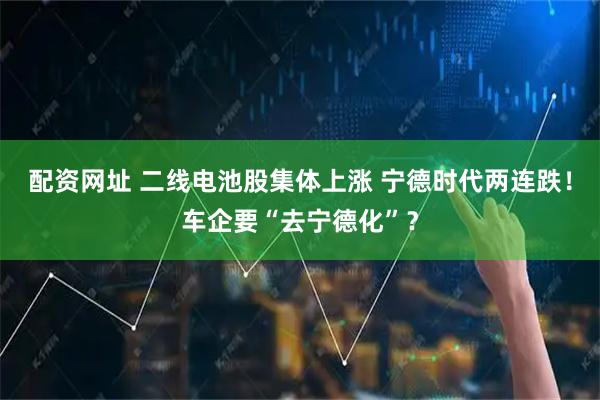 配资网址 二线电池股集体上涨 宁德时代两连跌！车企要“去宁德化”？